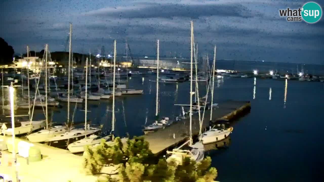 Webcam Sistiana Baia – Live View of the Marina and Gulf