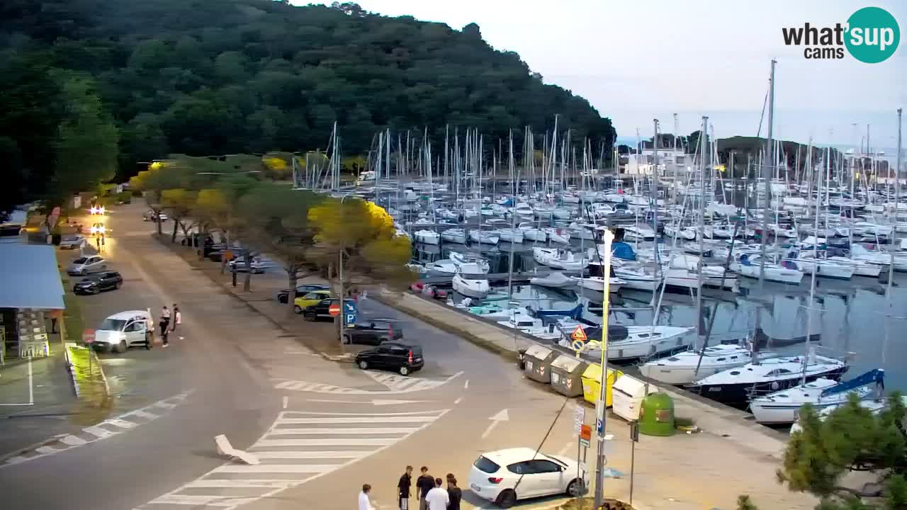 Webcam Sistiana Baia – Live View of the Marina and Gulf
