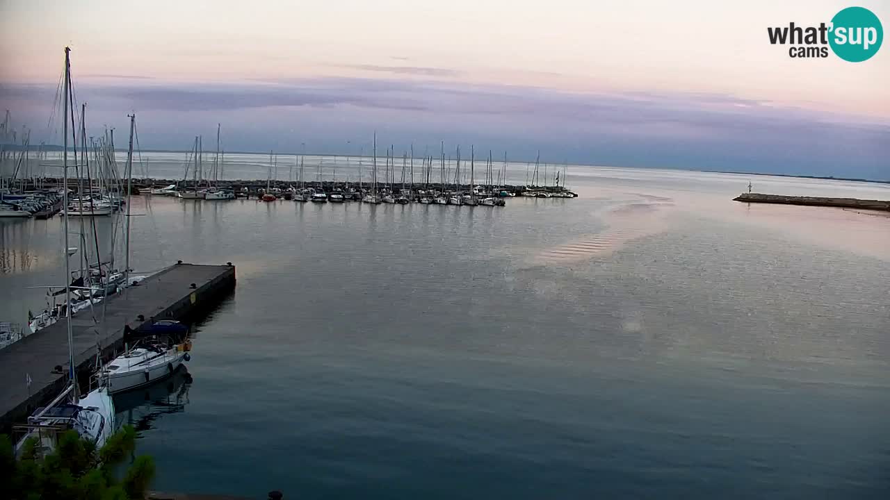 Webcam Sistiana Baia – Live View of the Marina and Gulf