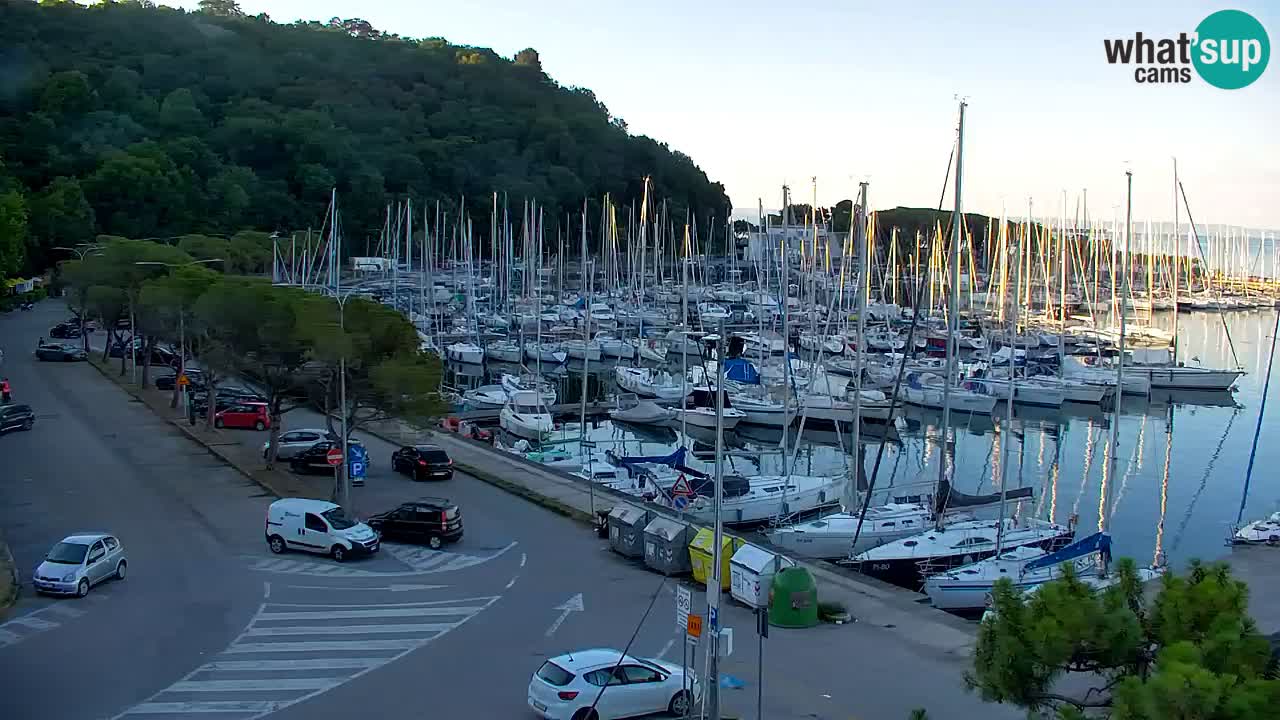 Webcam Sistiana Baia – Live View of the Marina and Gulf