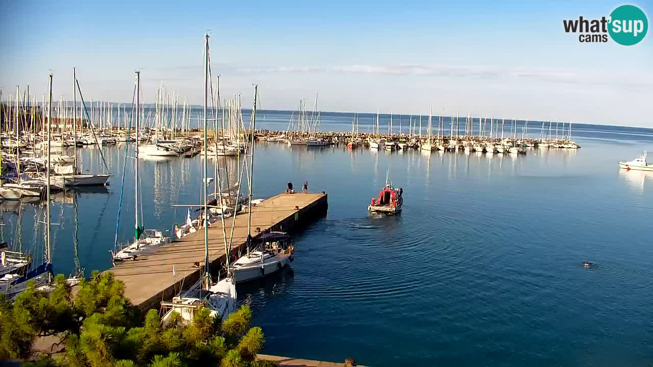 Webcam Sistiana Baia – Live View of the Marina and Gulf