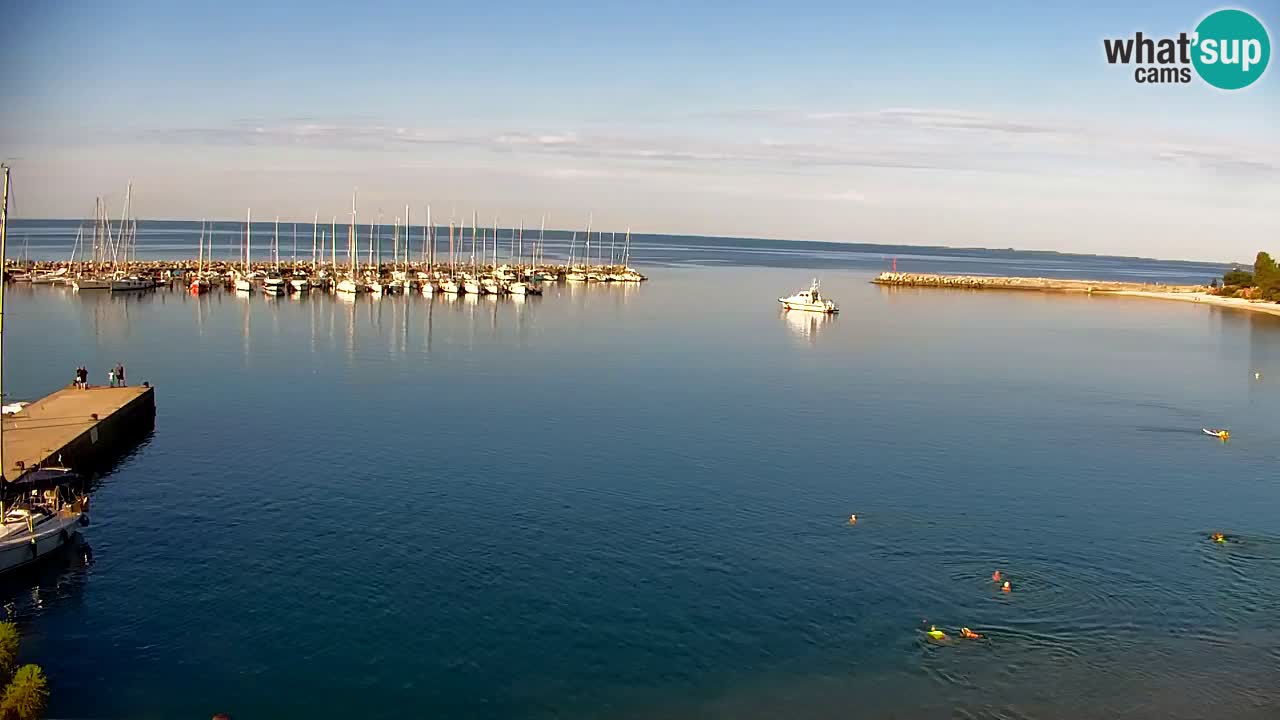 Webcam Sistiana Baia – Live View of the Marina and Gulf