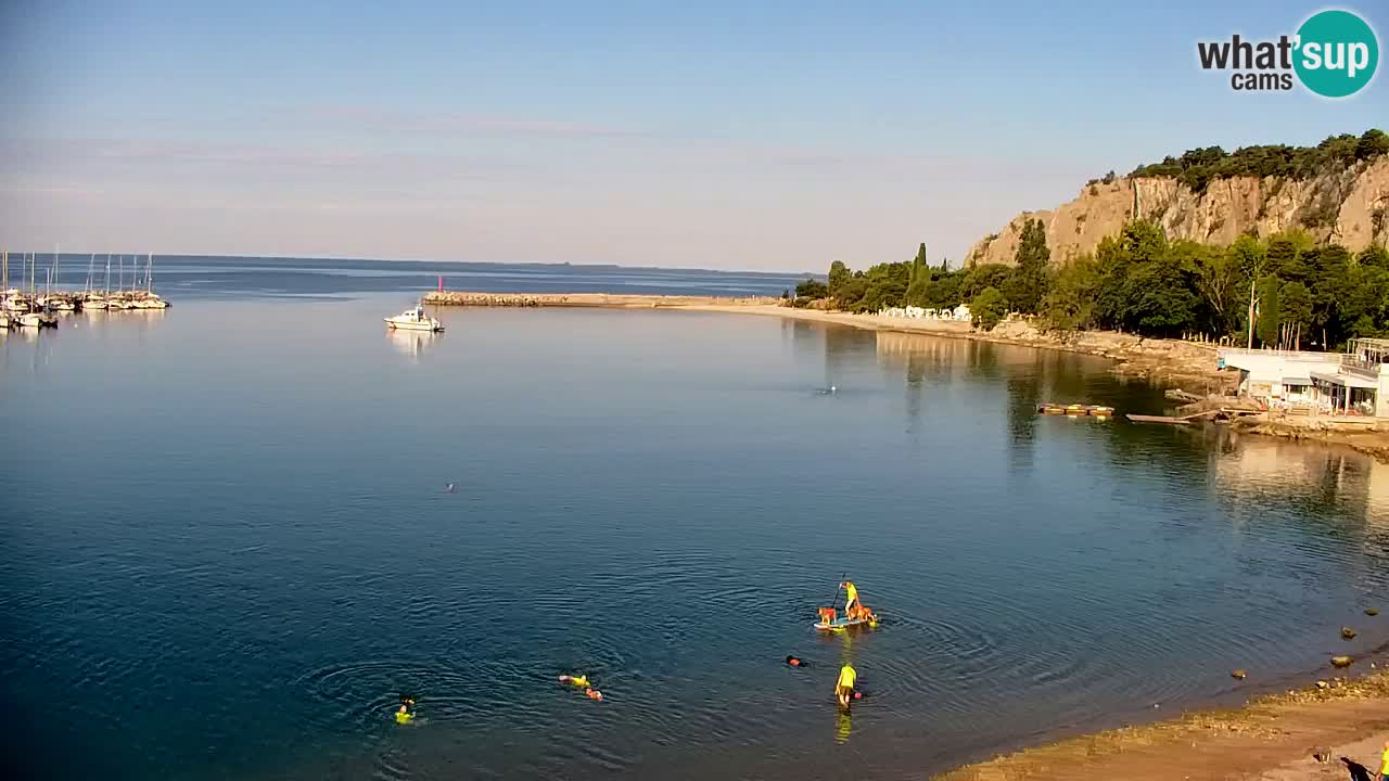 Webcam Sistiana Baia – Live View of the Marina and Gulf