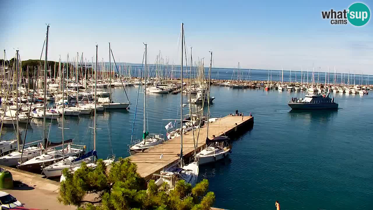 Webcam Sistiana Baia – Live View of the Marina and Gulf