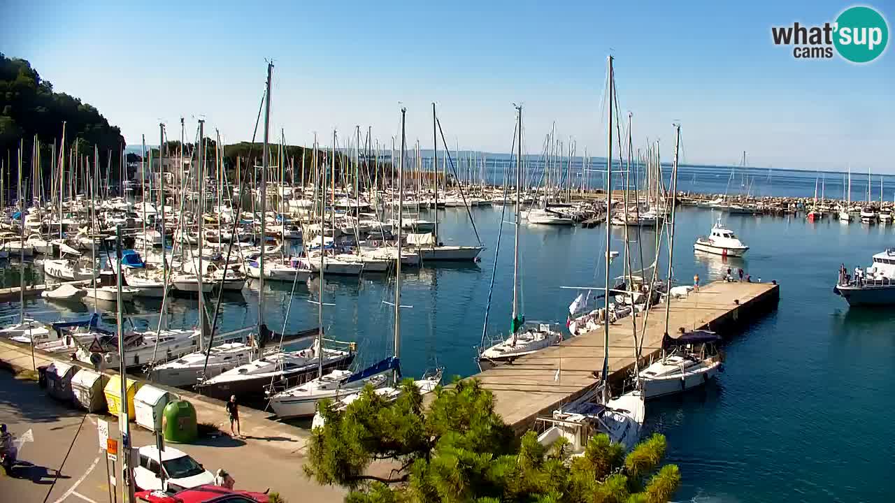 Webcam Sistiana Baia – Live View of the Marina and Gulf