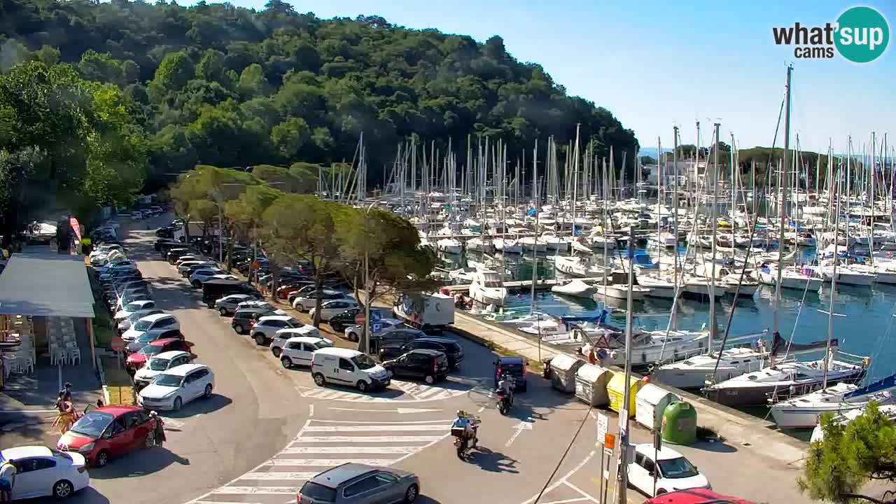 Webcam Bahía de Sistiana – Vista en directo del puerto deportivo y la costa