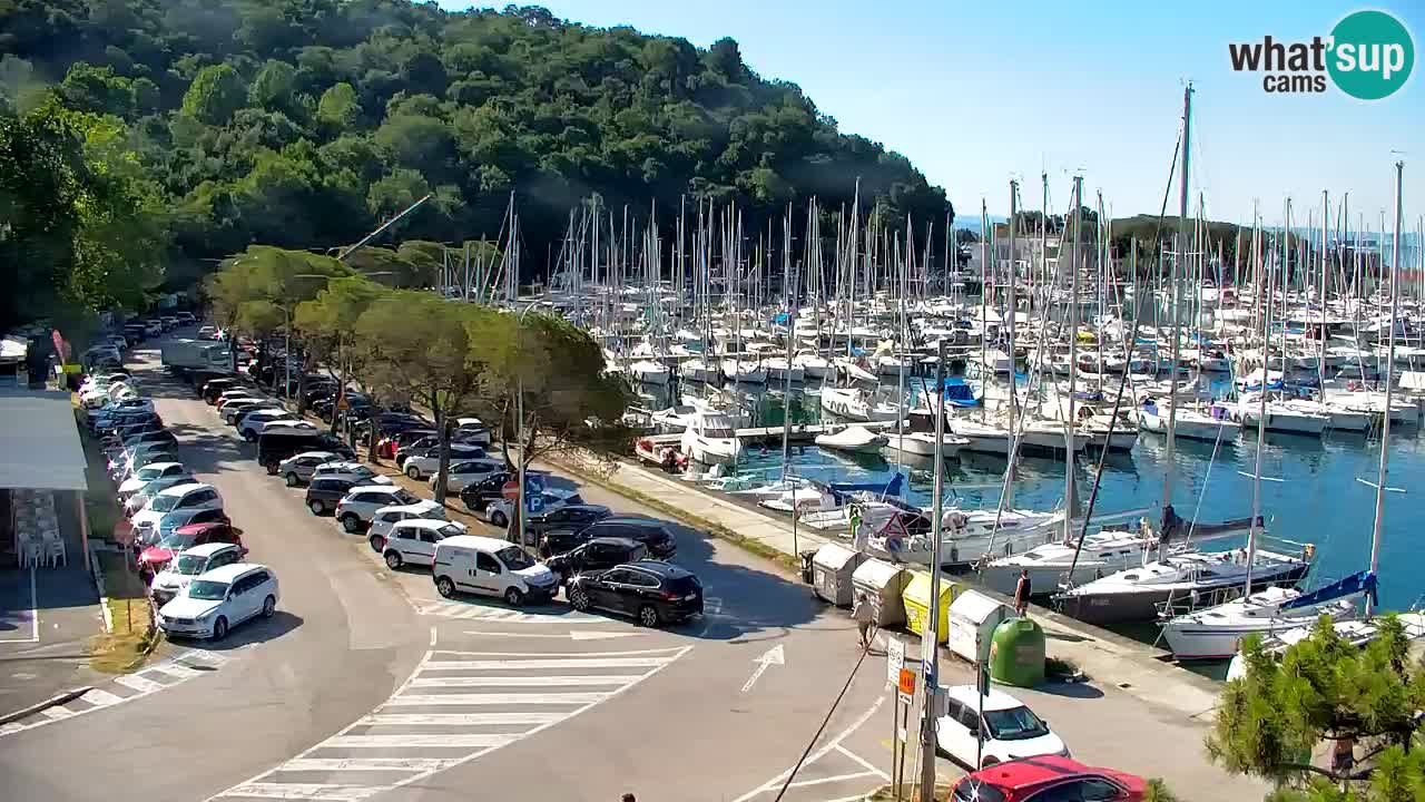 Web kamera Sistiana Uvala – Pogled uživo na marinu i zaljev