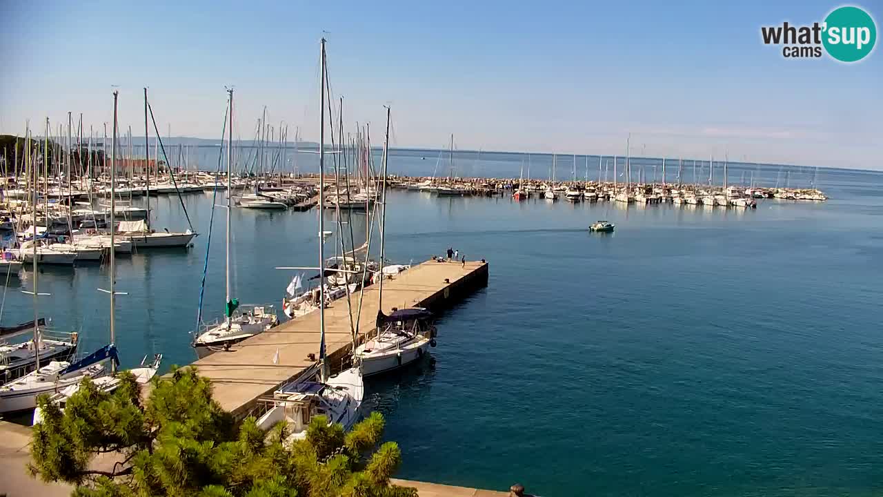 Web kamera Sistiana Uvala – Pogled uživo na marinu i zaljev