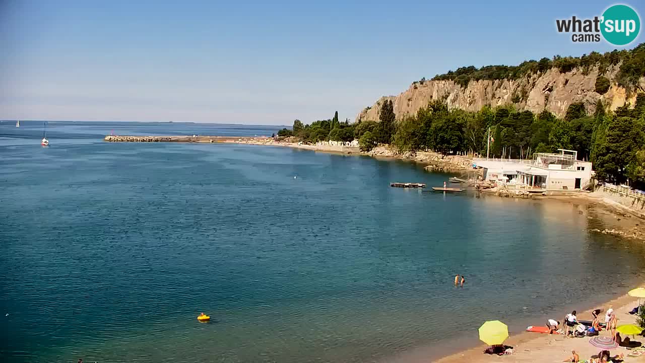 Webcam Bahía de Sistiana – Vista en directo del puerto deportivo y la costa