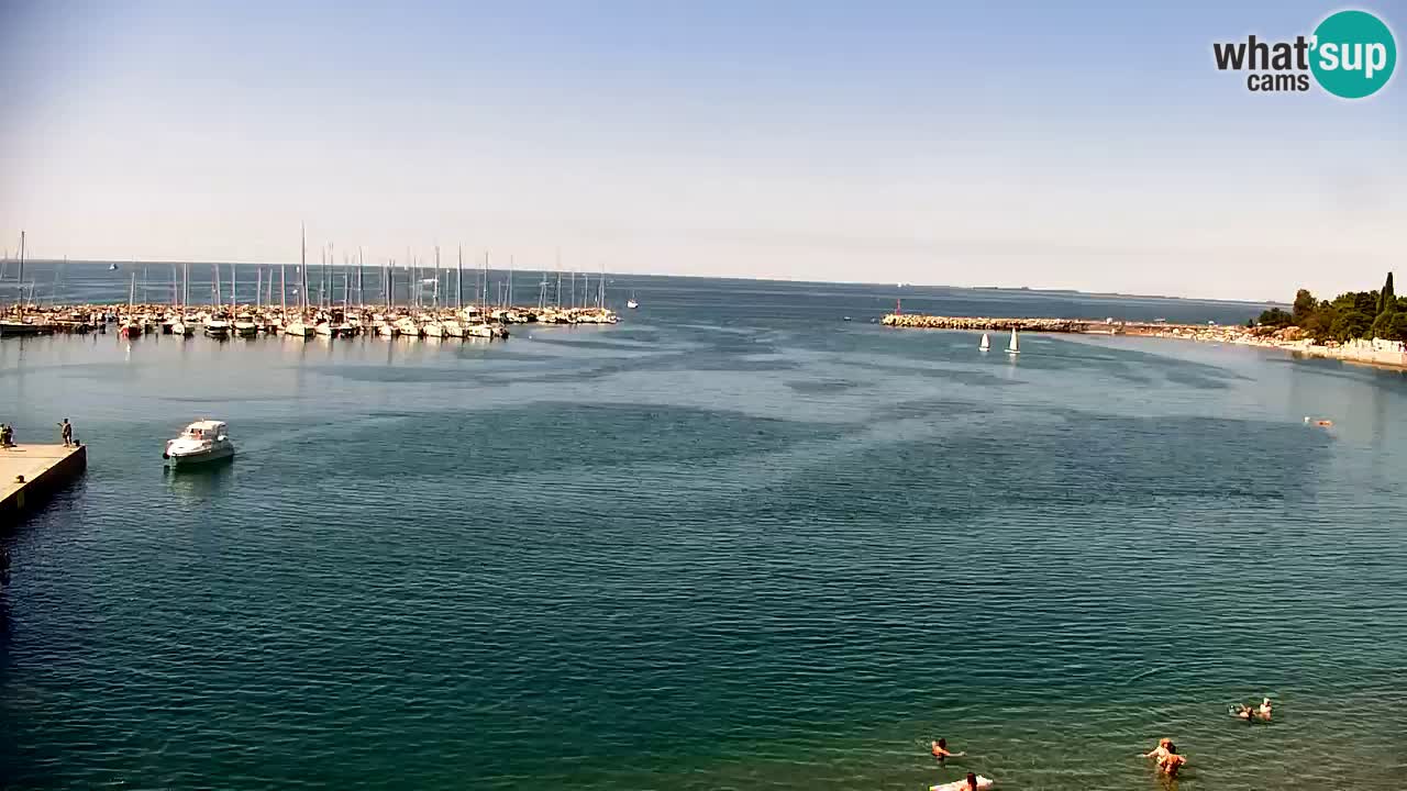 Webcam Baia di Sistiana – Marina e Golfo in diretta