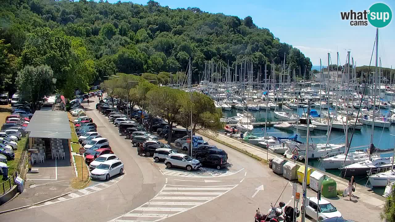Webcam Sistiana Baia – Live View of the Marina and Gulf