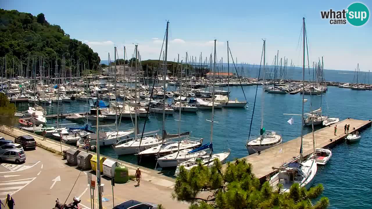 Webcam Sistiana Bucht – Liveblick auf Marina und Bucht