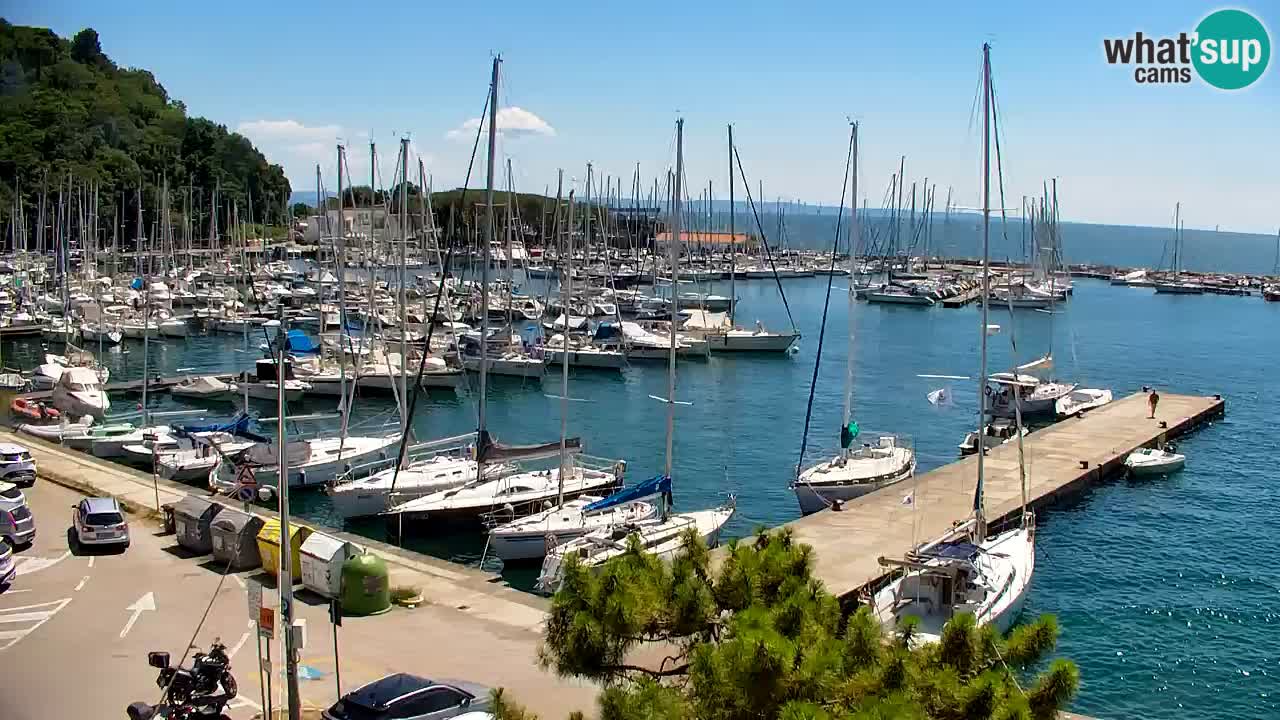 Webcam Sistiana Baia – Live View of the Marina and Gulf