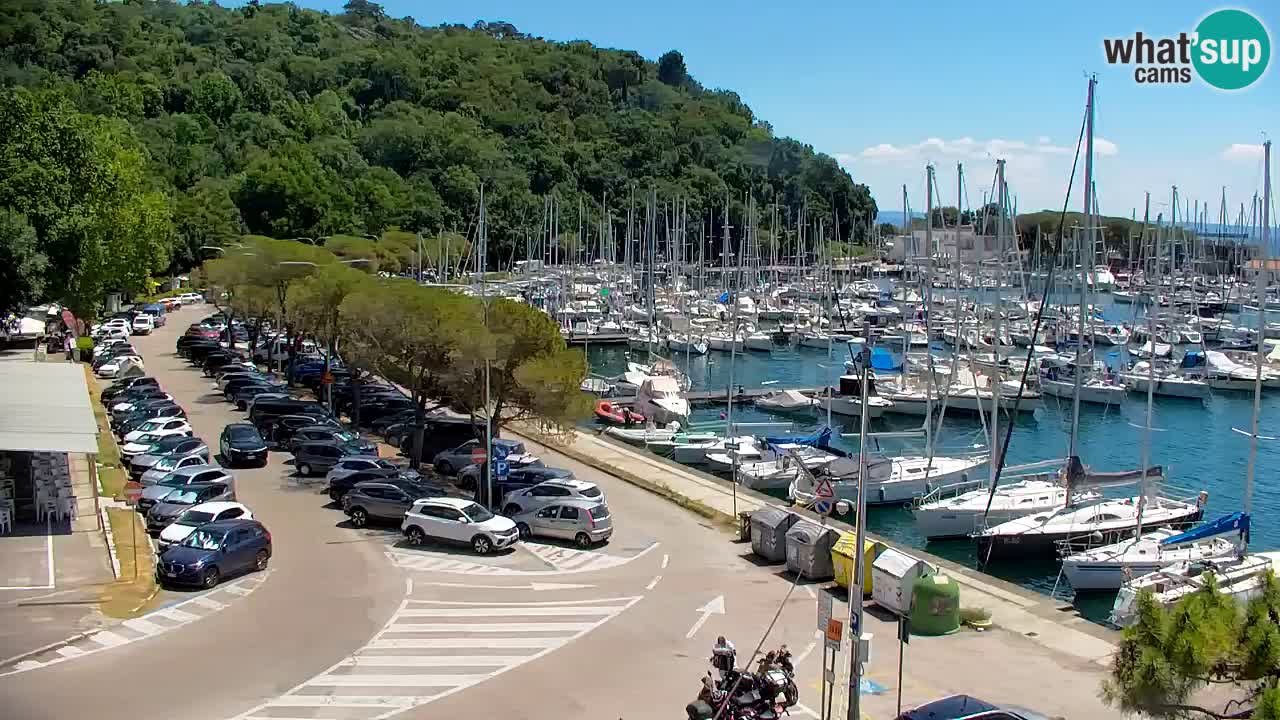 Webcam Sistiana Baia – Live View of the Marina and Gulf