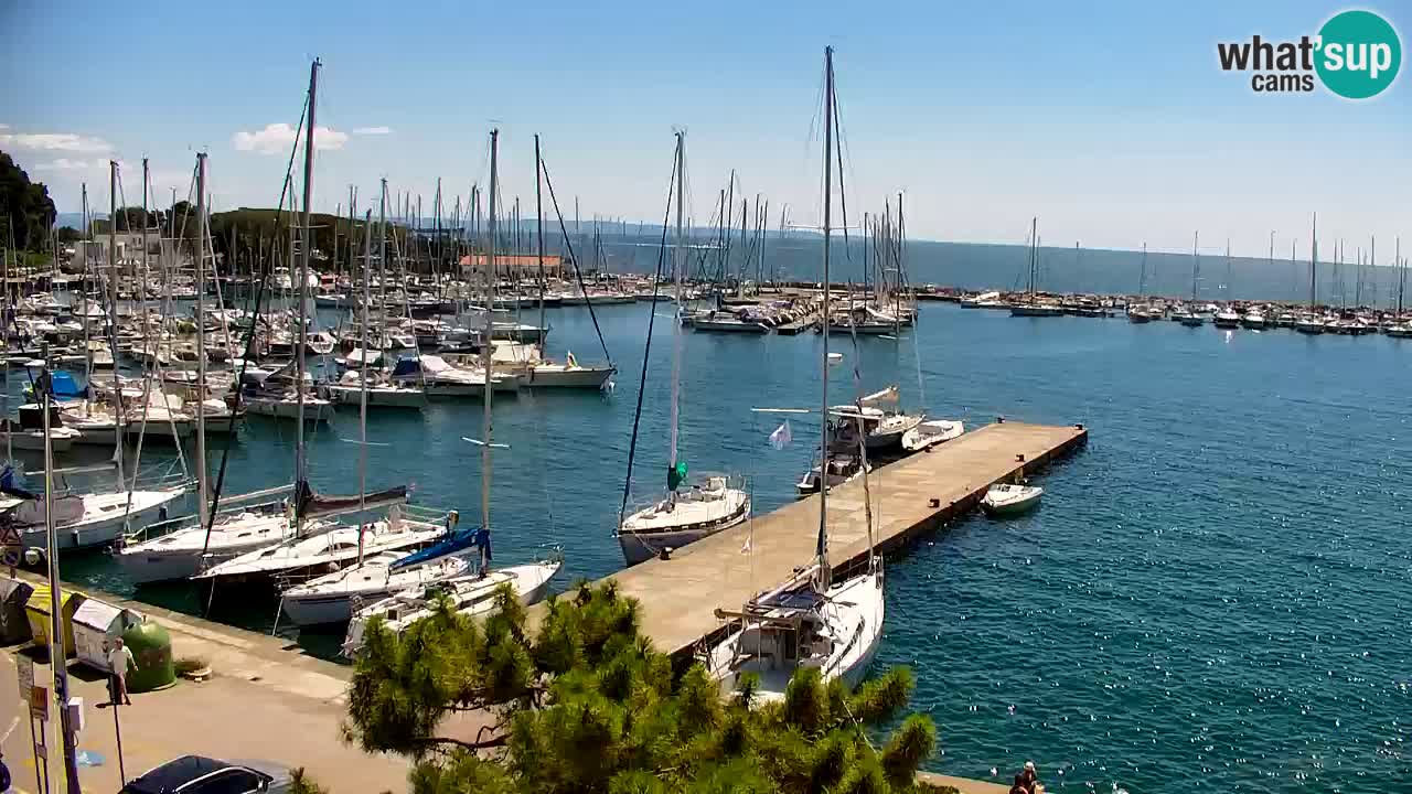 Spletna kamera Sesljanski zaliv – Pogled v živo na marino in zaliv