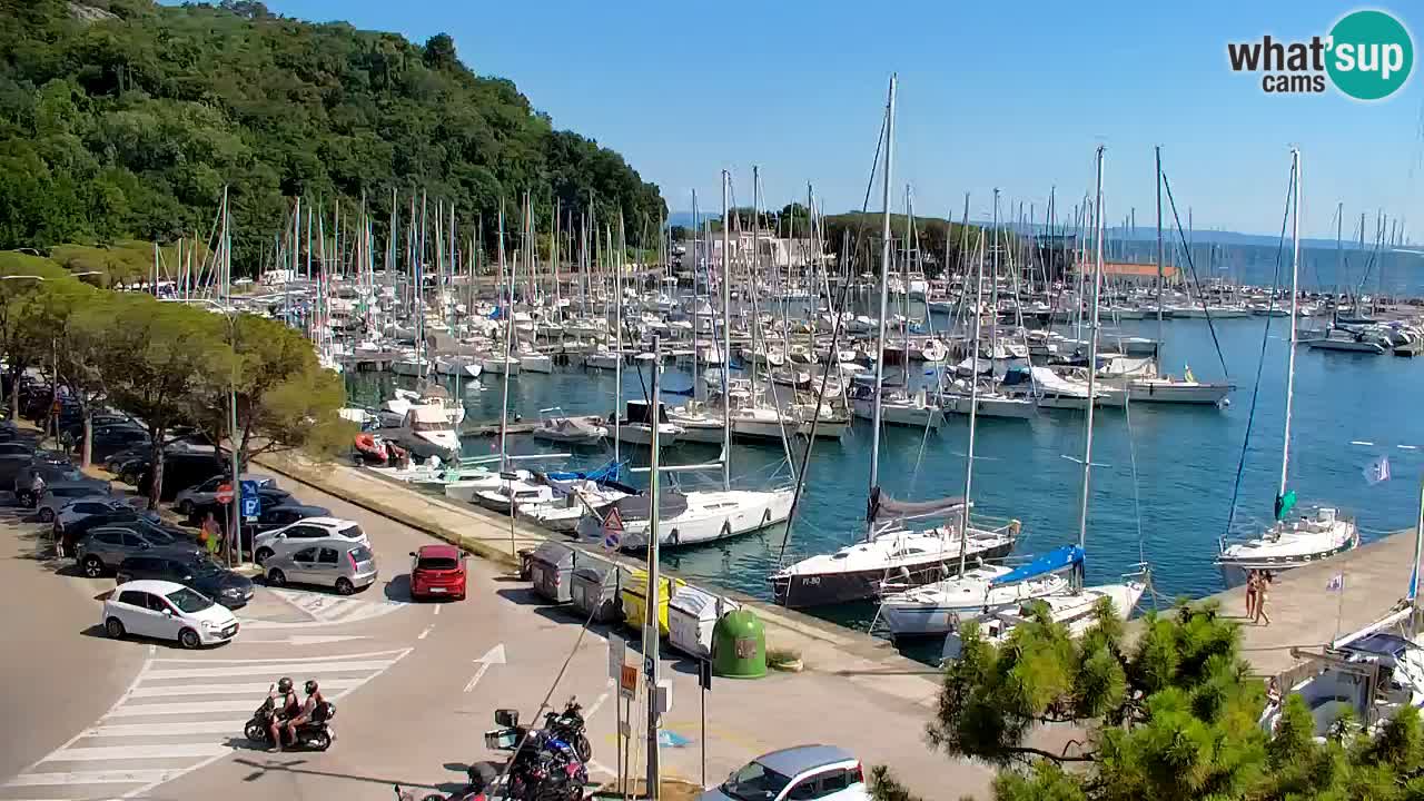 Webcam Sistiana Baia – Live View of the Marina and Gulf