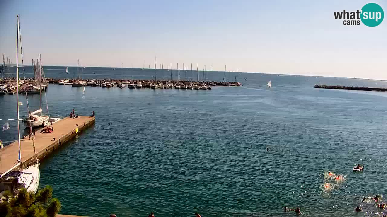 Webcam Sistiana Bucht – Liveblick auf Marina und Bucht