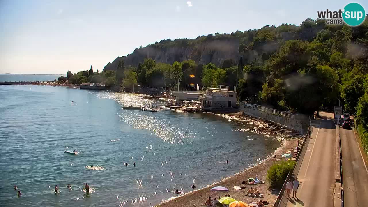 Webcam Sistiana Baia – Live View of the Marina and Gulf