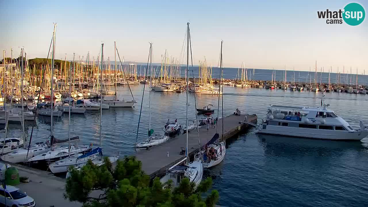 Webcam Bahía de Sistiana – Vista en directo del puerto deportivo y la costa