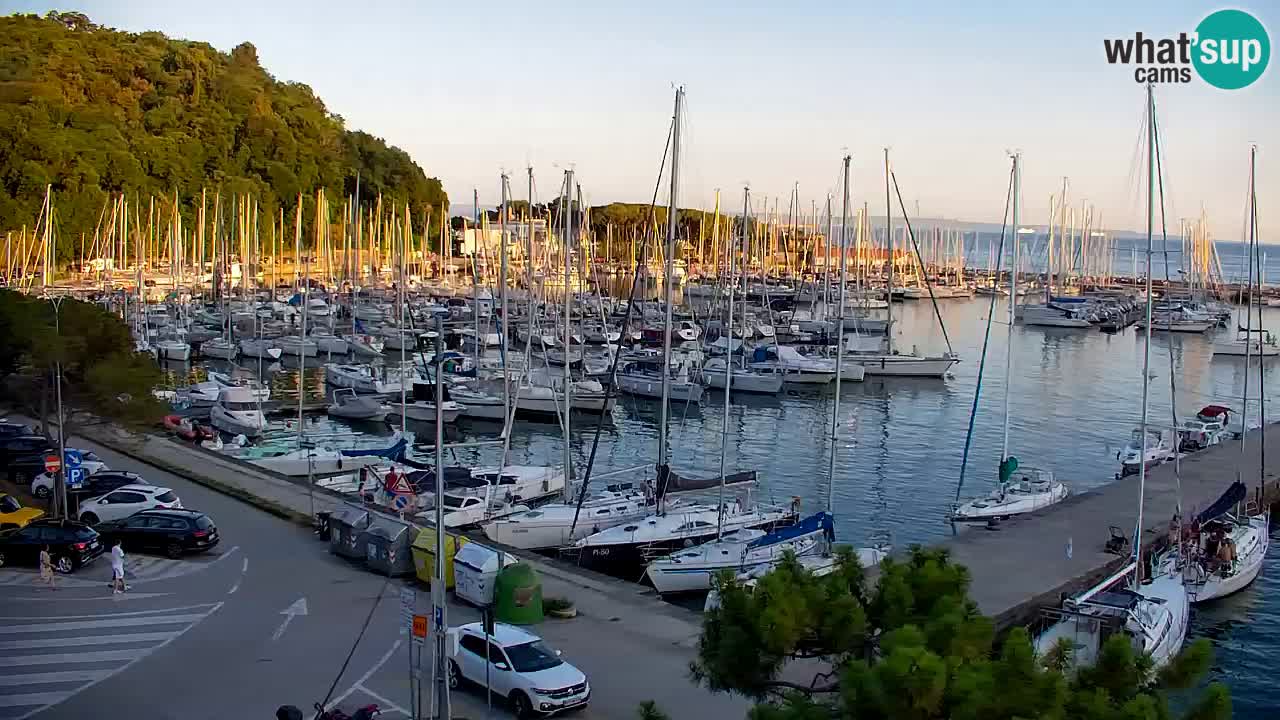 Webcam Sistiana Baia – Live View of the Marina and Gulf