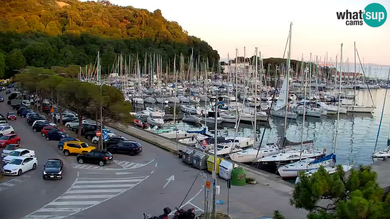 Webcam Sistiana Baia – Live View of the Marina and Gulf
