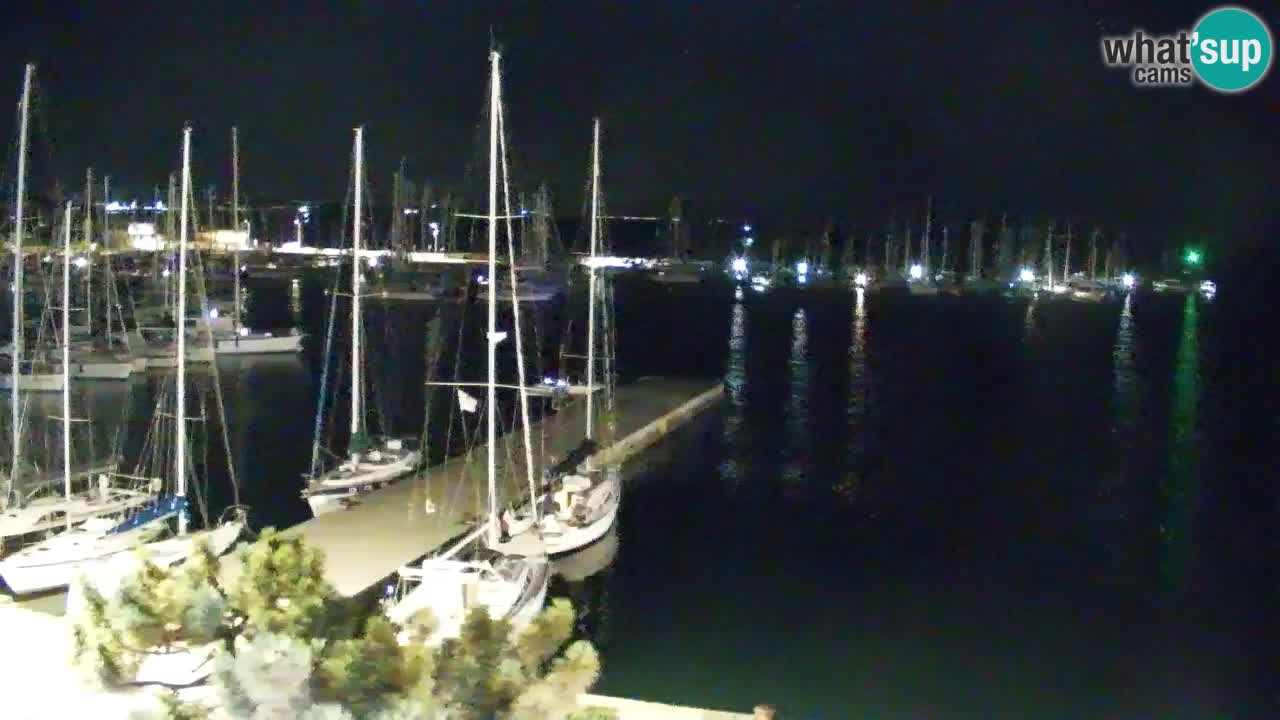 Web kamera Sistiana Uvala – Pogled uživo na marinu i zaljev