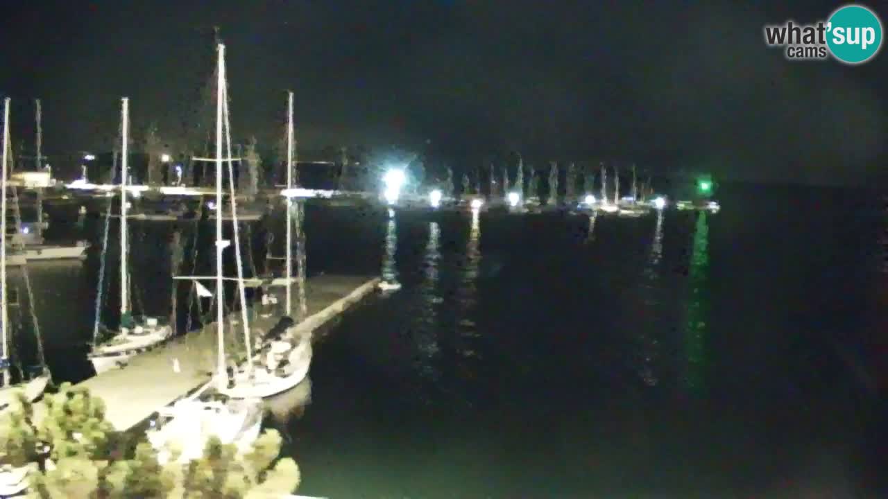 Webcam Sistiana Baia – Live View of the Marina and Gulf