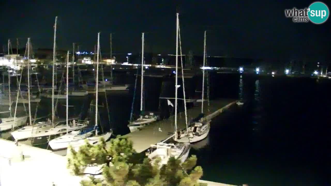 Webcam Sistiana Baia – Live View of the Marina and Gulf