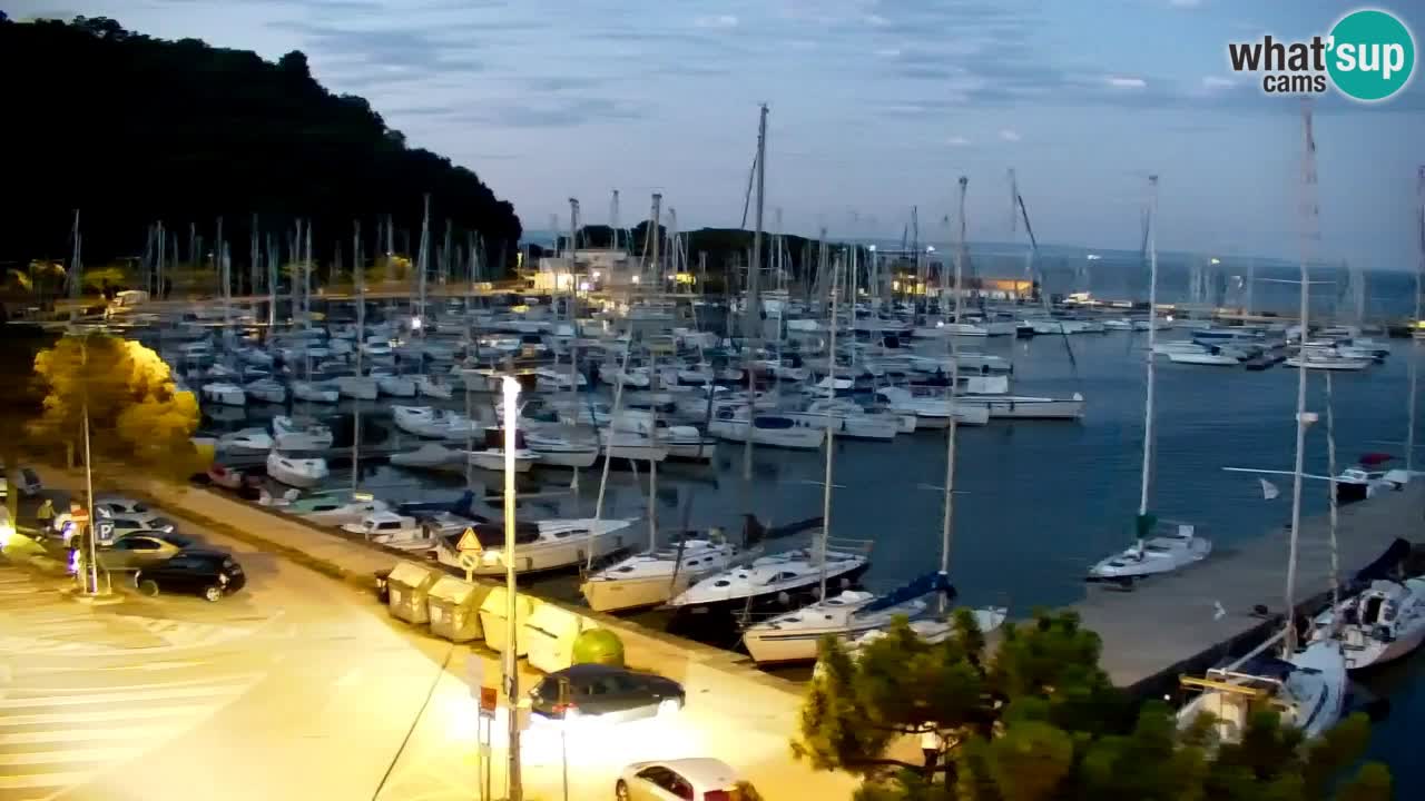 Webcam Sistiana Baia – Live View of the Marina and Gulf