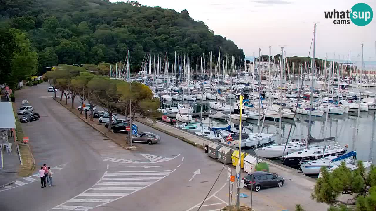 Webcam Sistiana Baia – Live View of the Marina and Gulf