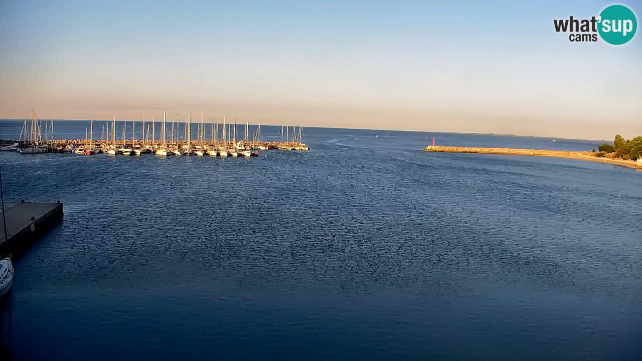Webcam Sistiana Baia – Live View of the Marina and Gulf