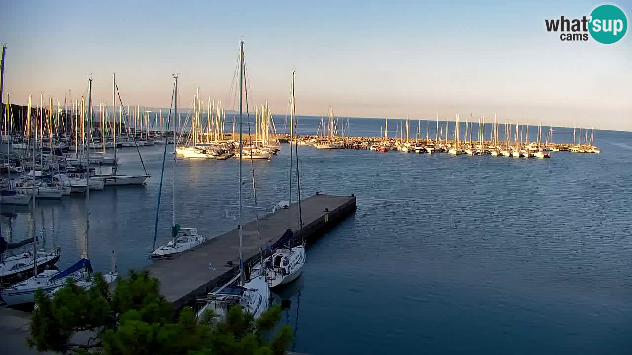 Webcam Sistiana Baia – Live View of the Marina and Gulf