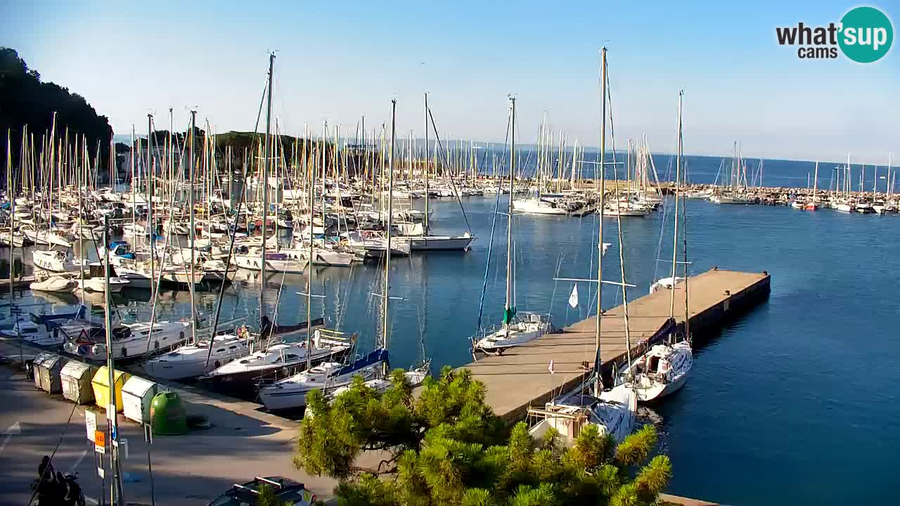 Webcam Bahía de Sistiana – Vista en directo del puerto deportivo y la costa