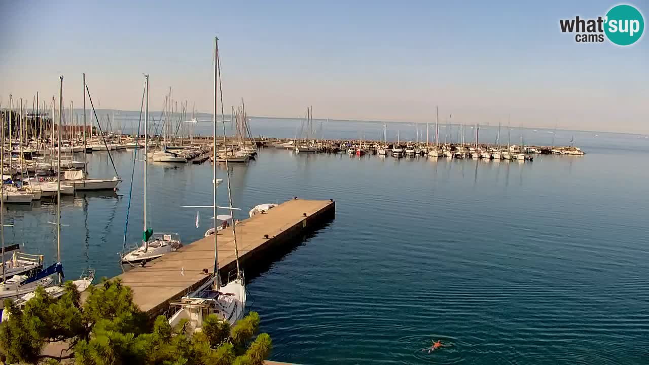 Web kamera Sistiana Uvala – Pogled uživo na marinu i zaljev