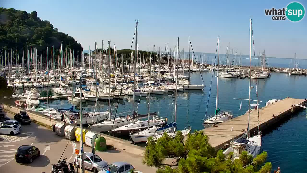 Webcam Bahía de Sistiana – Vista en directo del puerto deportivo y la costa