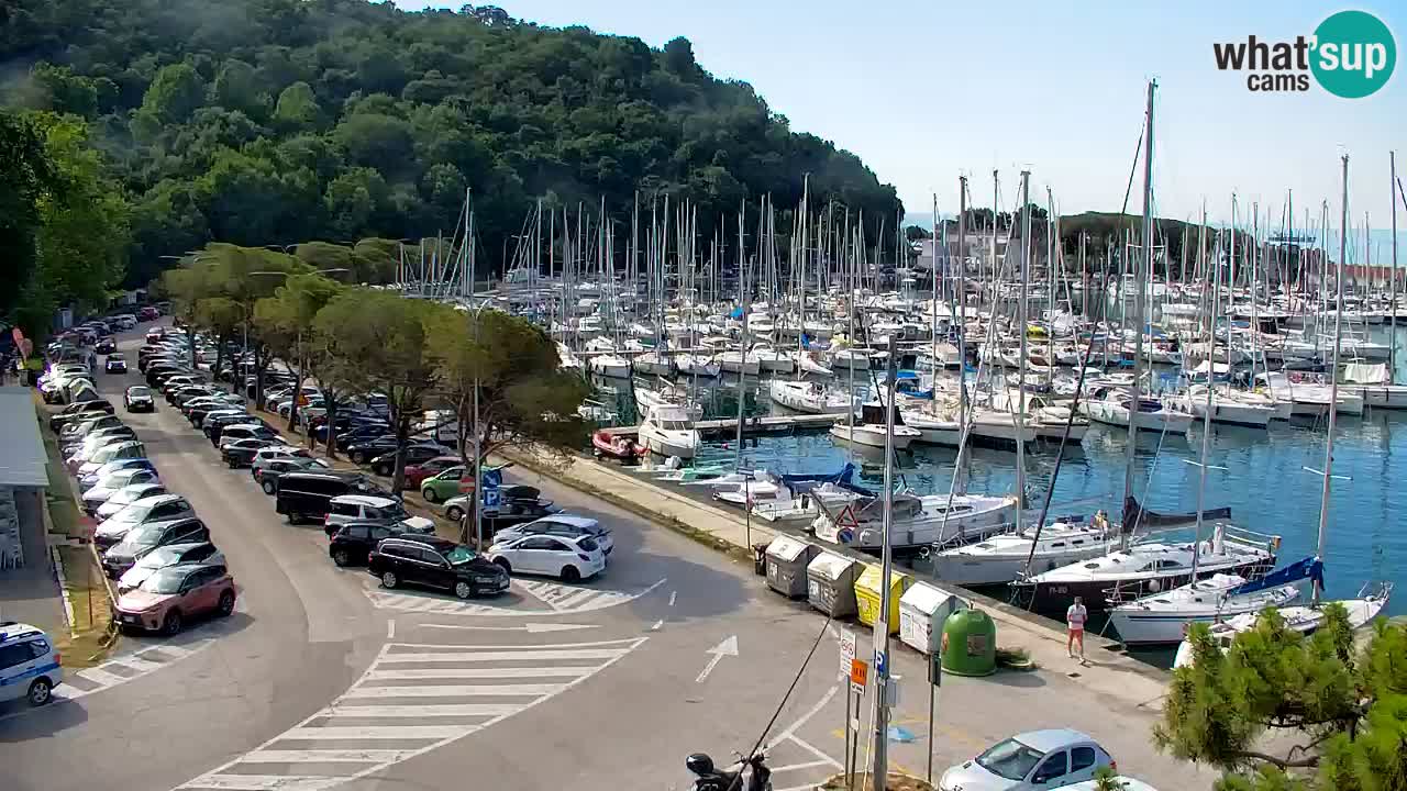 Webcam Sistiana Baia – Live View of the Marina and Gulf
