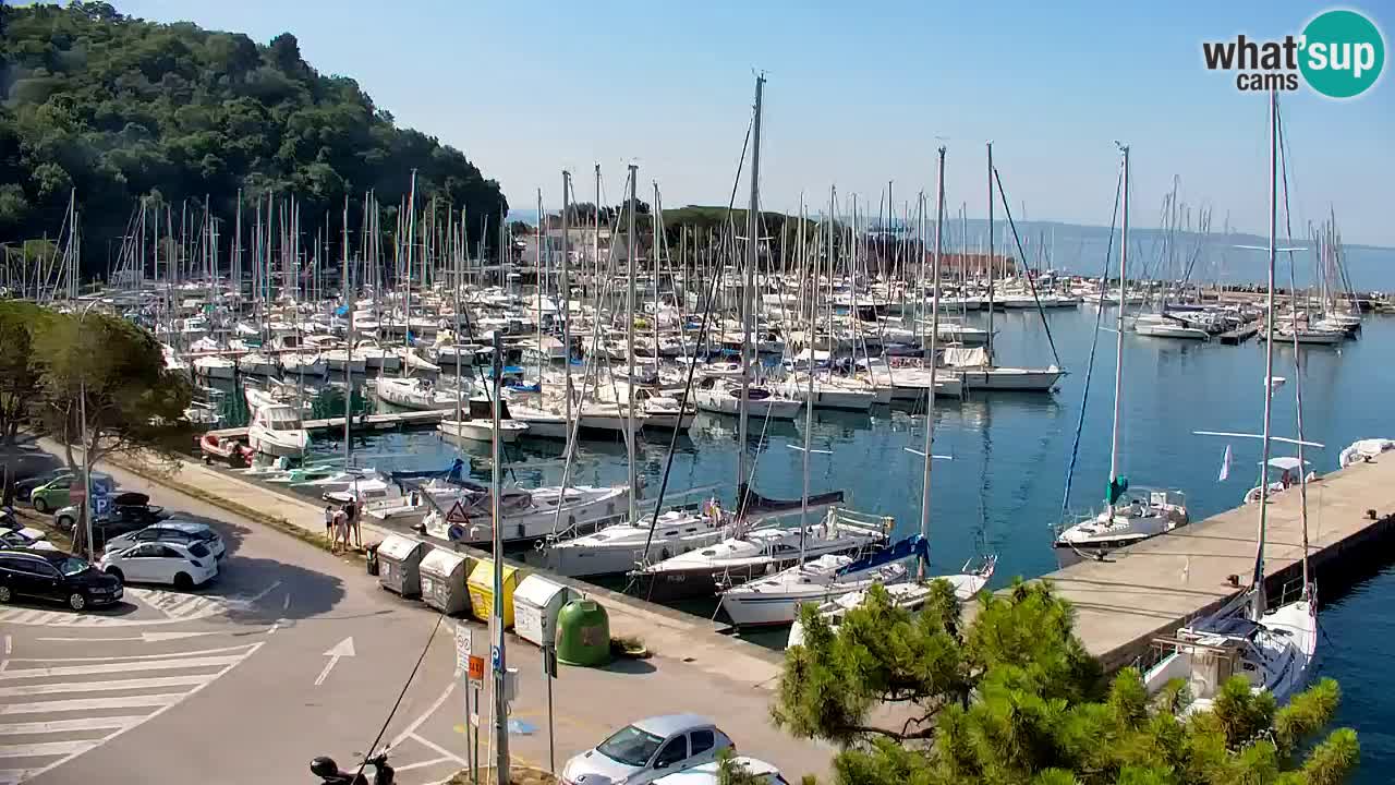 Webcam Baia di Sistiana – Marina e Golfo in diretta