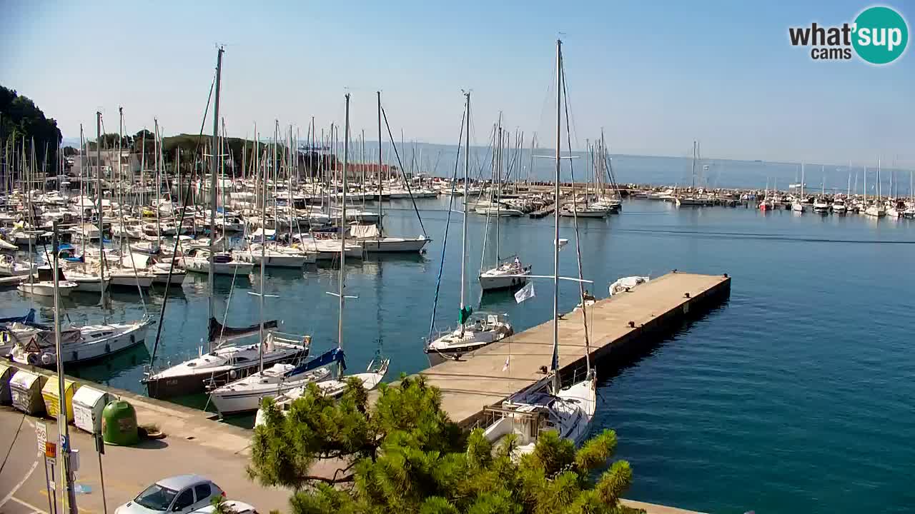 Webcam Sistiana Baia – Live View of the Marina and Gulf