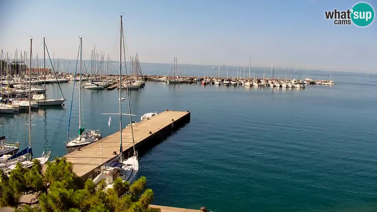 Webcam Sistiana Baia – Live View of the Marina and Gulf