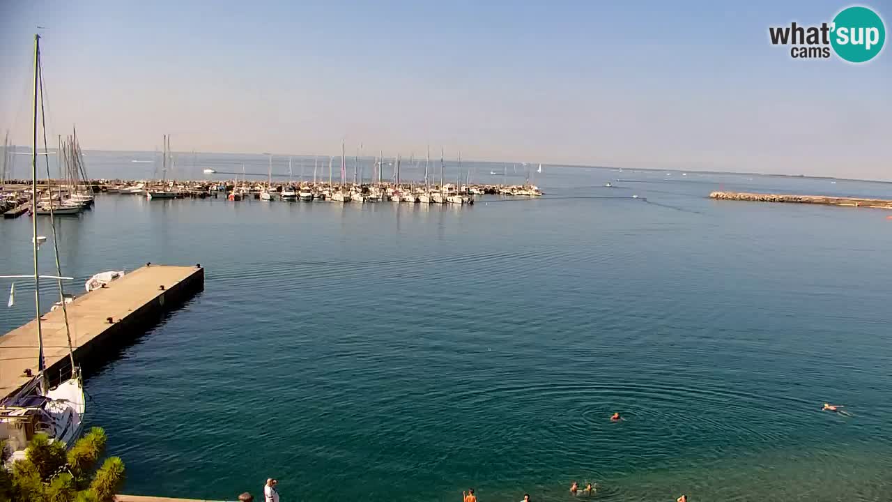 Web kamera Sistiana Uvala – Pogled uživo na marinu i zaljev