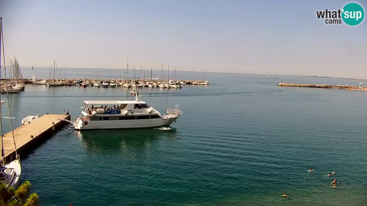 Webcam Bahía de Sistiana – Vista en directo del puerto deportivo y la costa