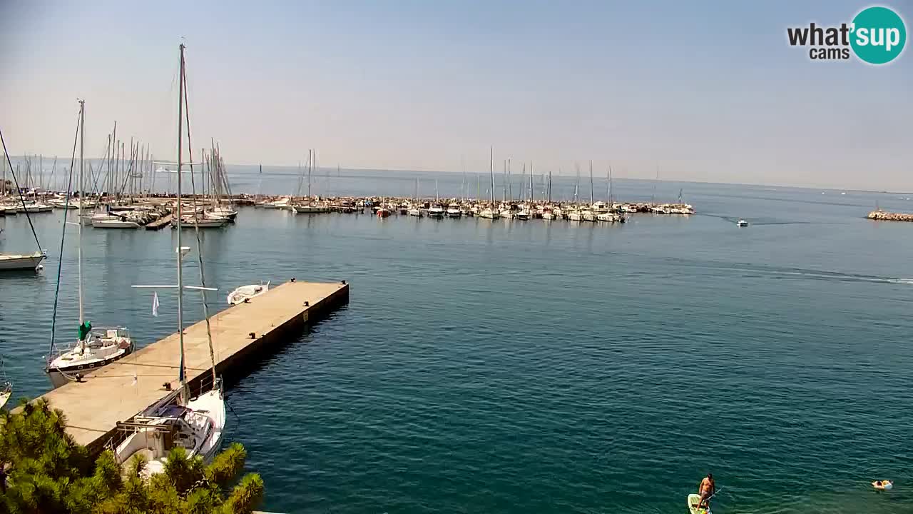 Webcam Bahía de Sistiana – Vista en directo del puerto deportivo y la costa