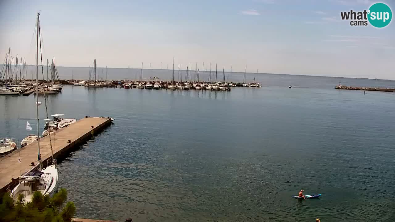Webcam Sistiana Baia – Live View of the Marina and Gulf