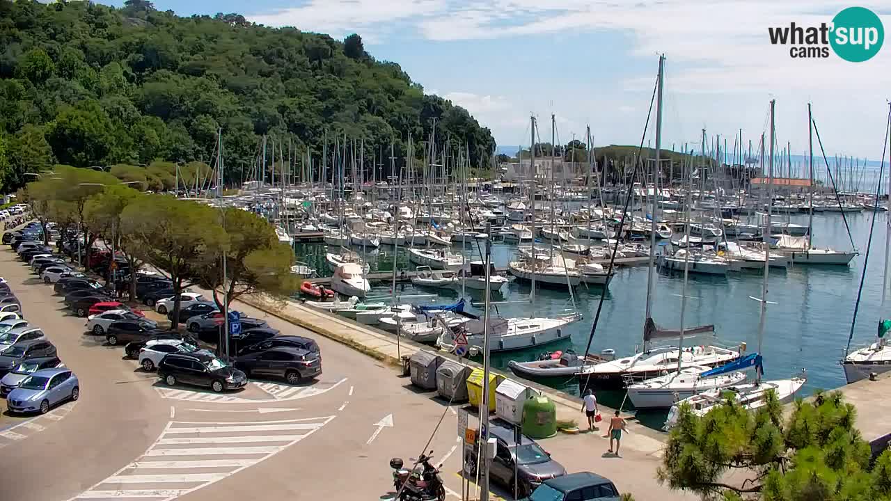 Webcam Bahía de Sistiana – Vista en directo del puerto deportivo y la costa