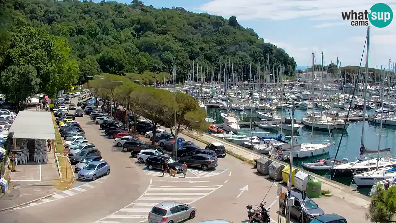 Web kamera Sistiana Uvala – Pogled uživo na marinu i zaljev