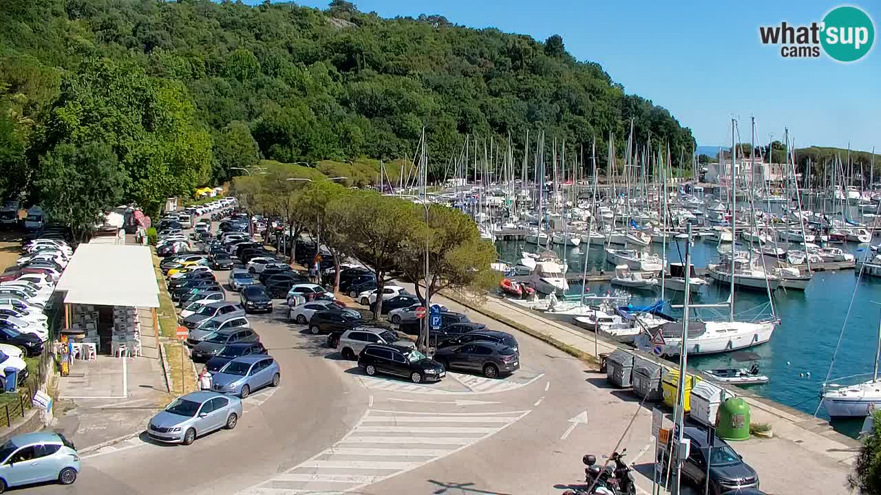 Webcam Bahía de Sistiana – Vista en directo del puerto deportivo y la costa
