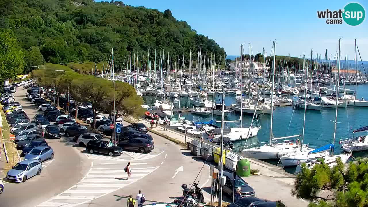 Webcam Sistiana Baia – Live View of the Marina and Gulf