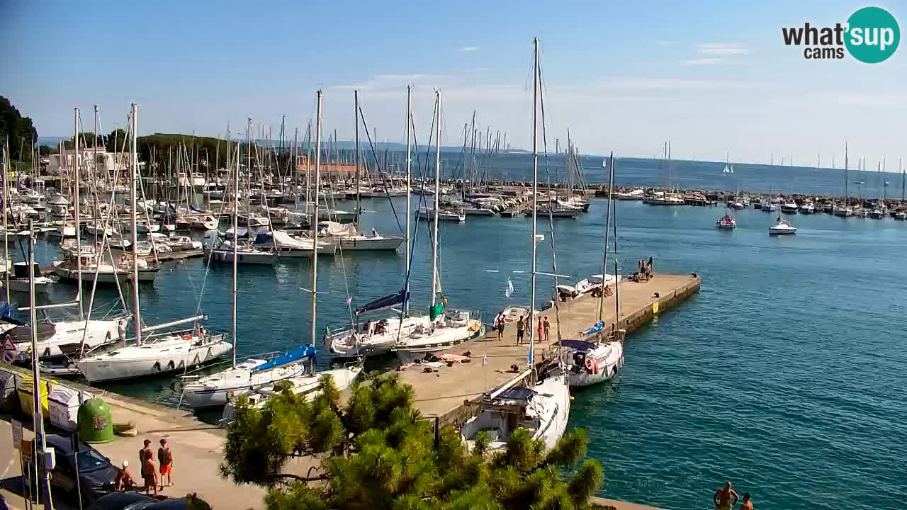 Webcam Bahía de Sistiana – Vista en directo del puerto deportivo y la costa