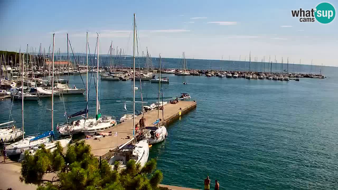 Webcam Sistiana Baia – Live View of the Marina and Gulf