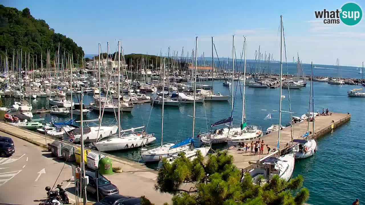 Spletna kamera Sesljanski zaliv – Pogled v živo na marino in zaliv